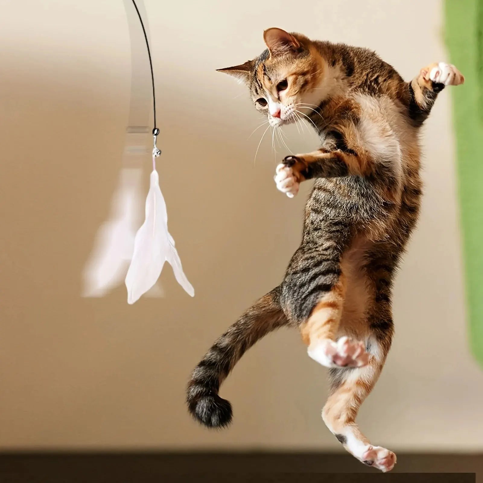 cat teaser wand joojeo feather toy