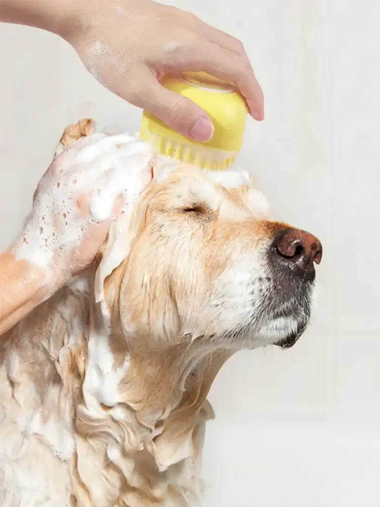 Dog bath brush being used on a golden retriever during a bath, showcasing effective grooming and cleaning.
