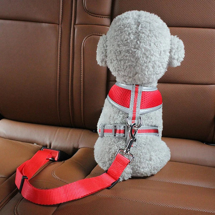 JooJeo Dog Car Safety Belt — Adjustable Seat Belt Harness for Dogs