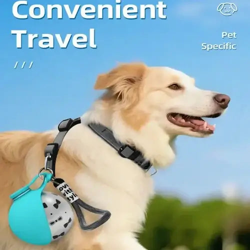 Dog wearing a collar with a blue bell and tag, set against a clear blue sky.