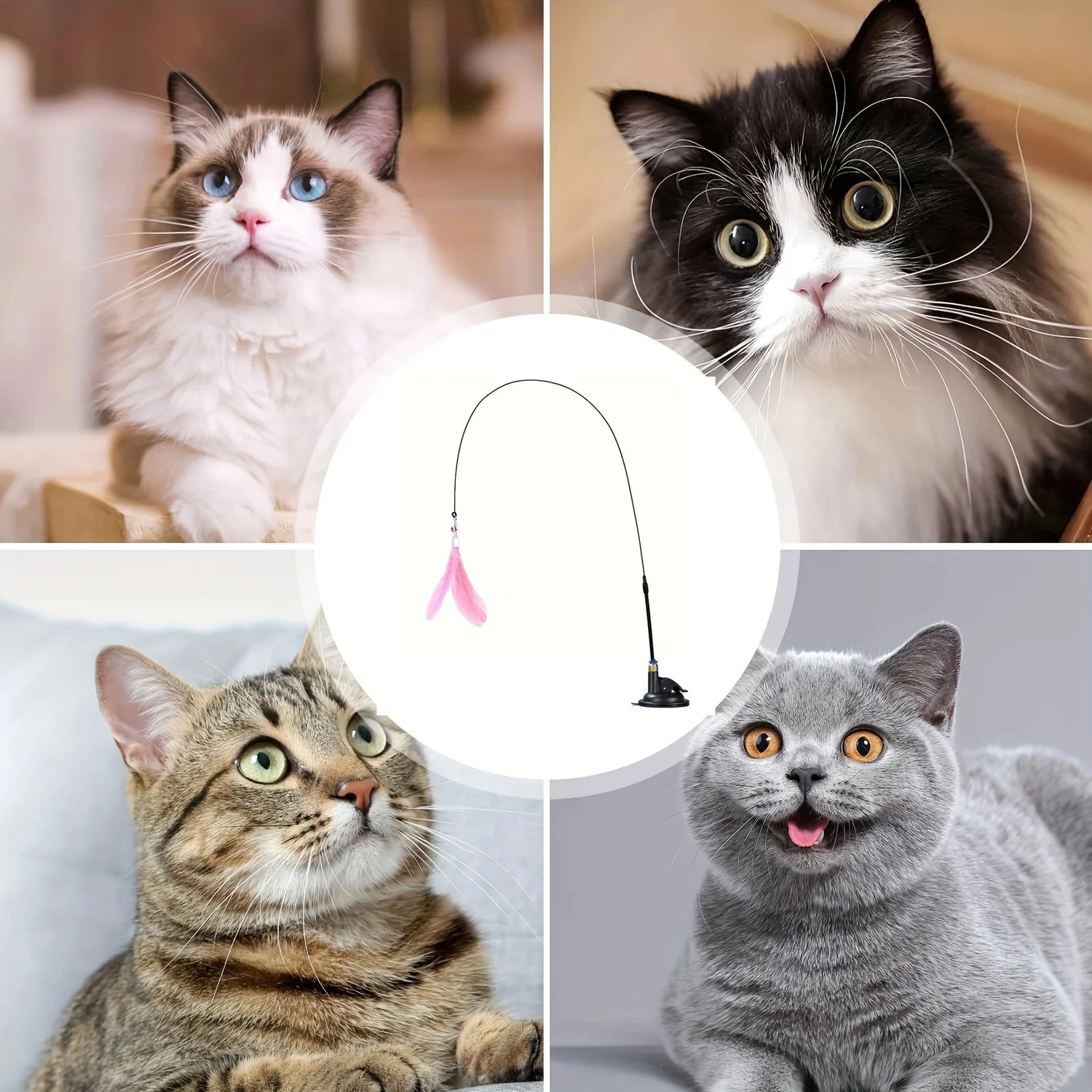 cat teaser wand joojeo feather toy