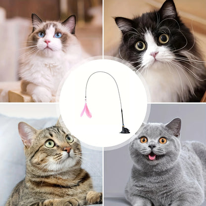 cat teaser wand joojeo feather toy