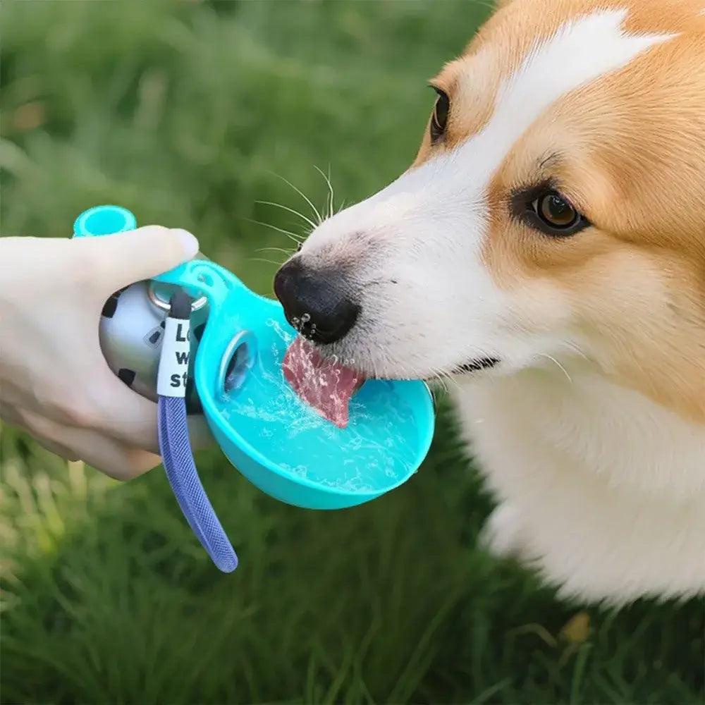 Small dog drinking from  portable dog water bottle