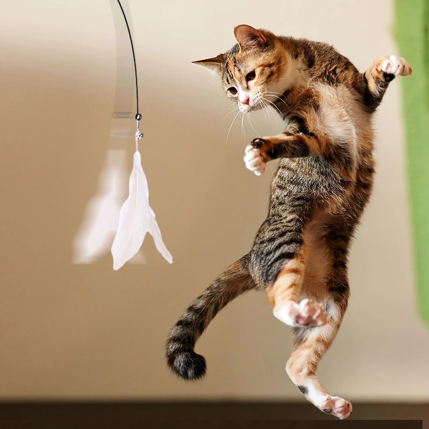 cat teaser wand joojeo feather toy