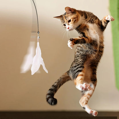 cat teaser wand joojeo feather toy
