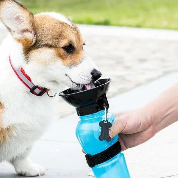 JooJeo Portable Dog Water Bottle — 500ml Travel Dispenser for Walks & Hikes