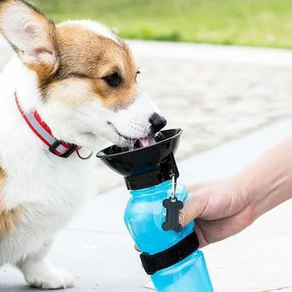 portable dog water bottle joojeo 500ml
