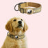 airtag dog collar joojeo reflective safety collar