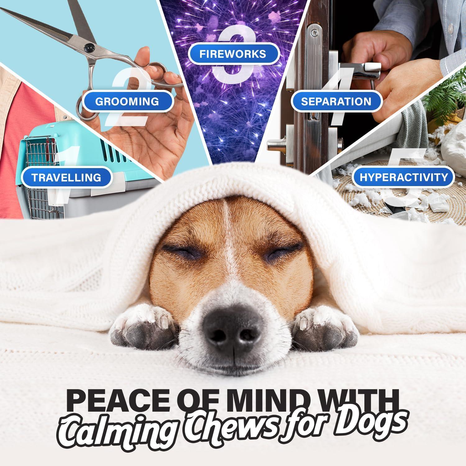 JooJeo Calming Chews for Dogs – Relaxation & Anxiety Support